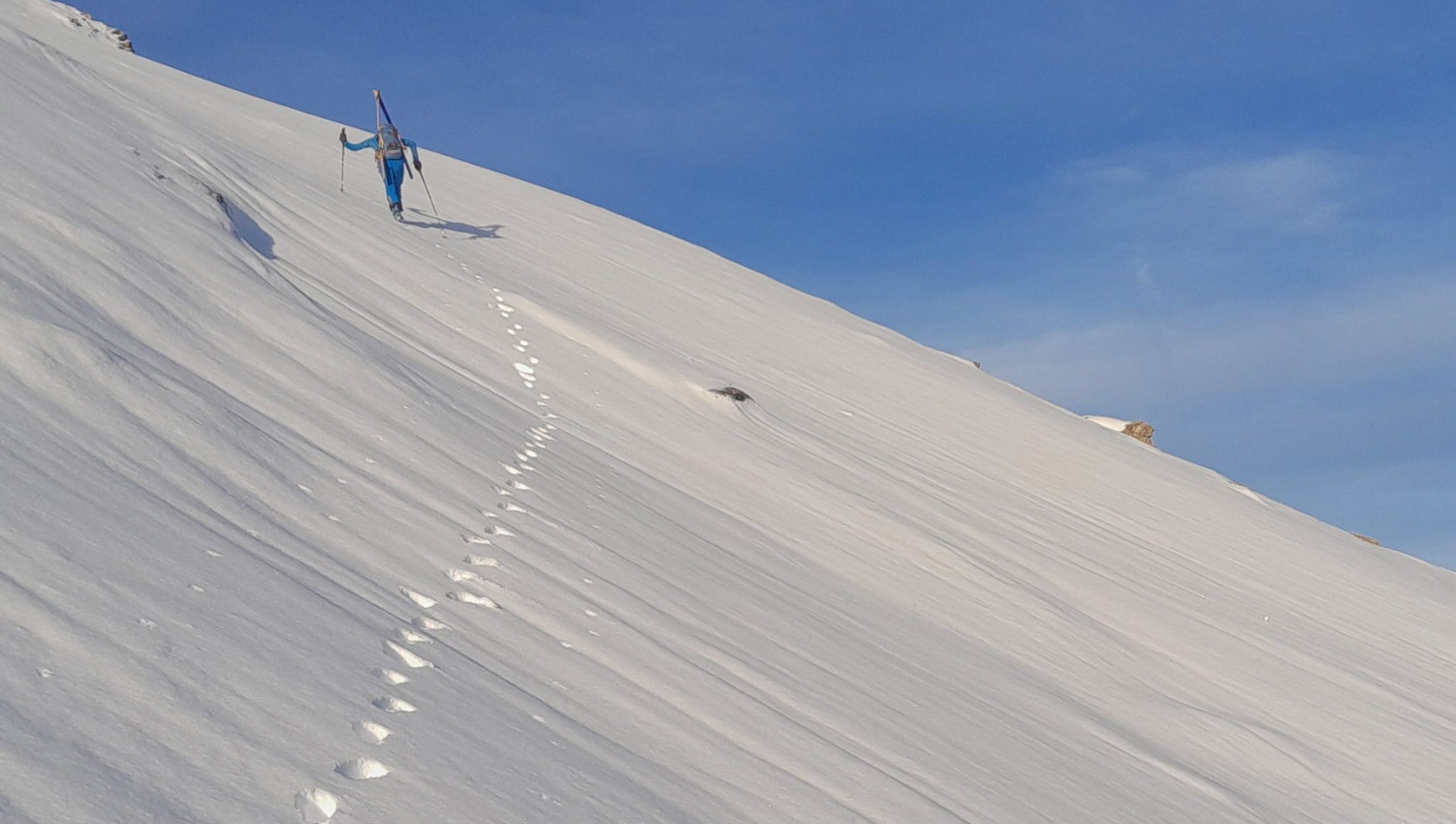 WhatsApp Image 2025 10 31 at 12.06.17